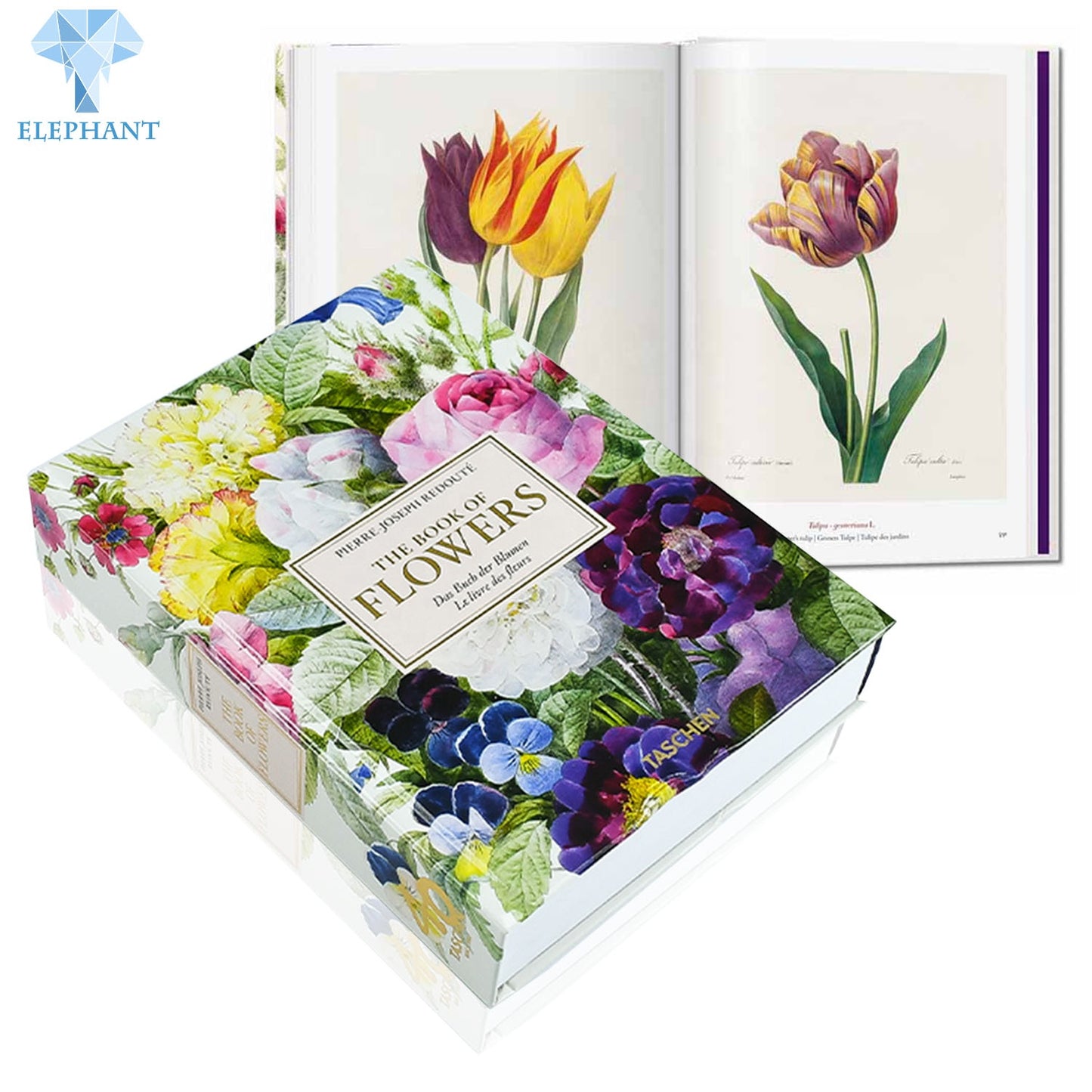 Cheap Printing Services Book Production Clear Plants Biology Perfect Bound Hardcover Book Printing