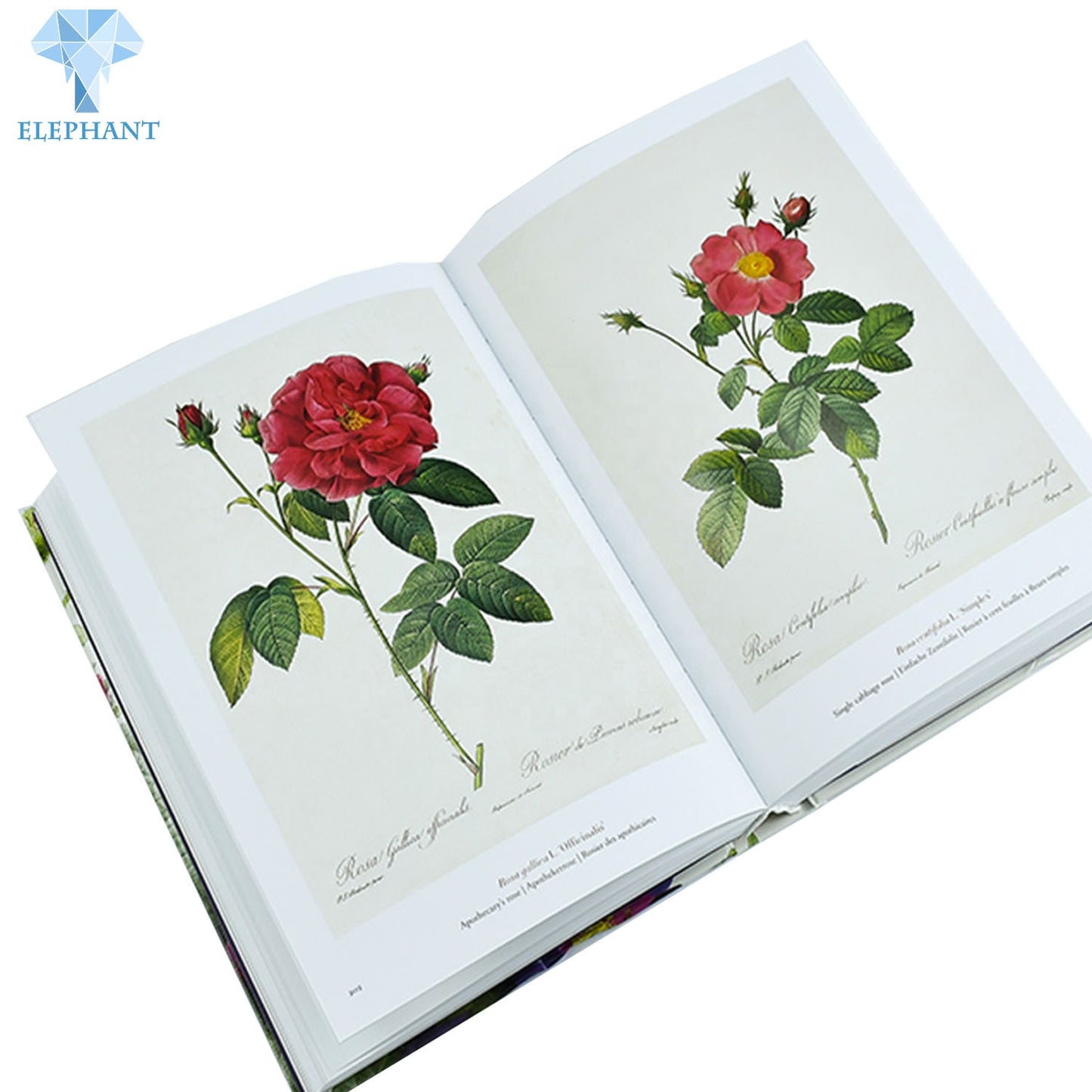 Cheap Printing Services Book Production Clear Plants Biology Perfect Bound Hardcover Book Printing