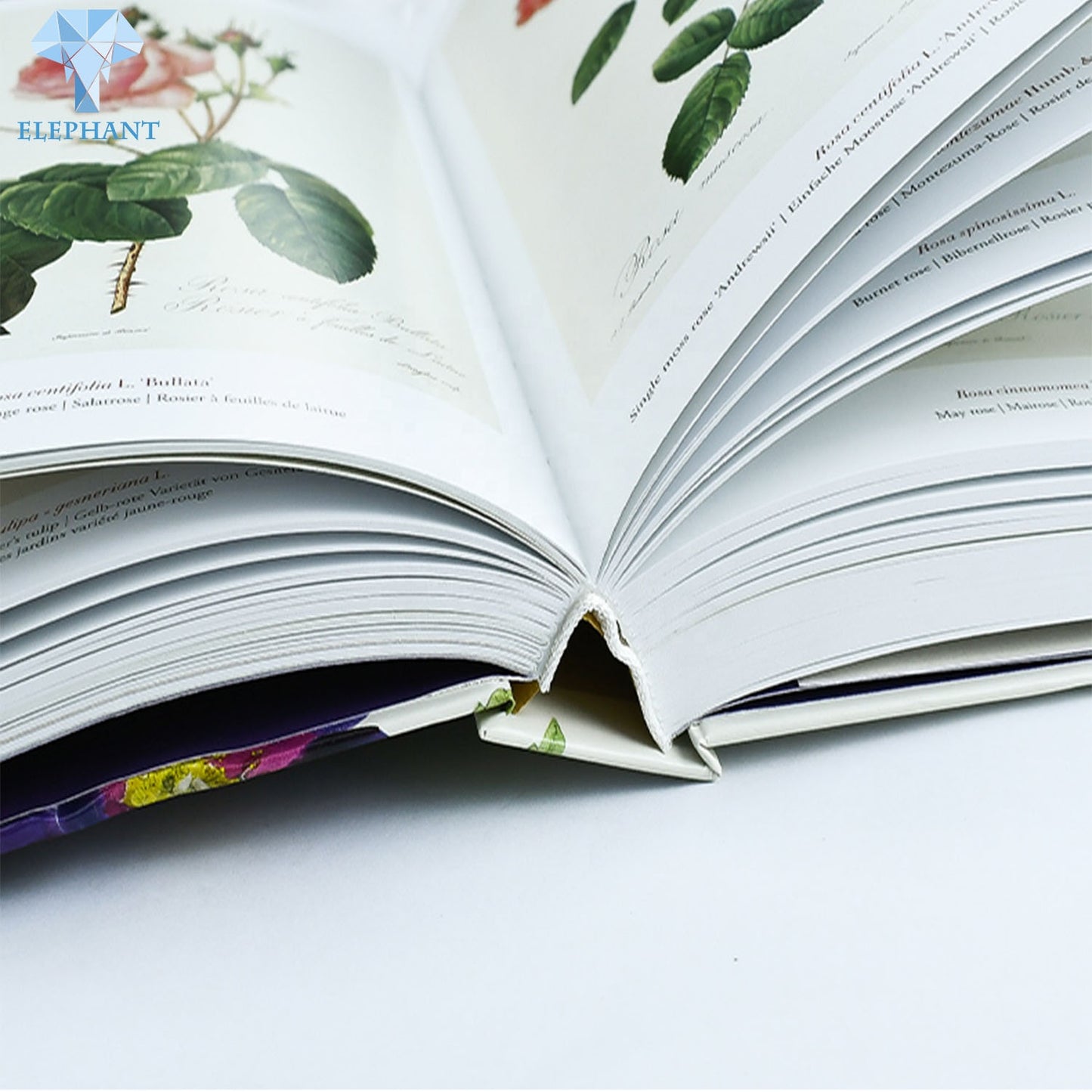 Cheap Printing Services Book Production Clear Plants Biology Perfect Bound Hardcover Book Printing