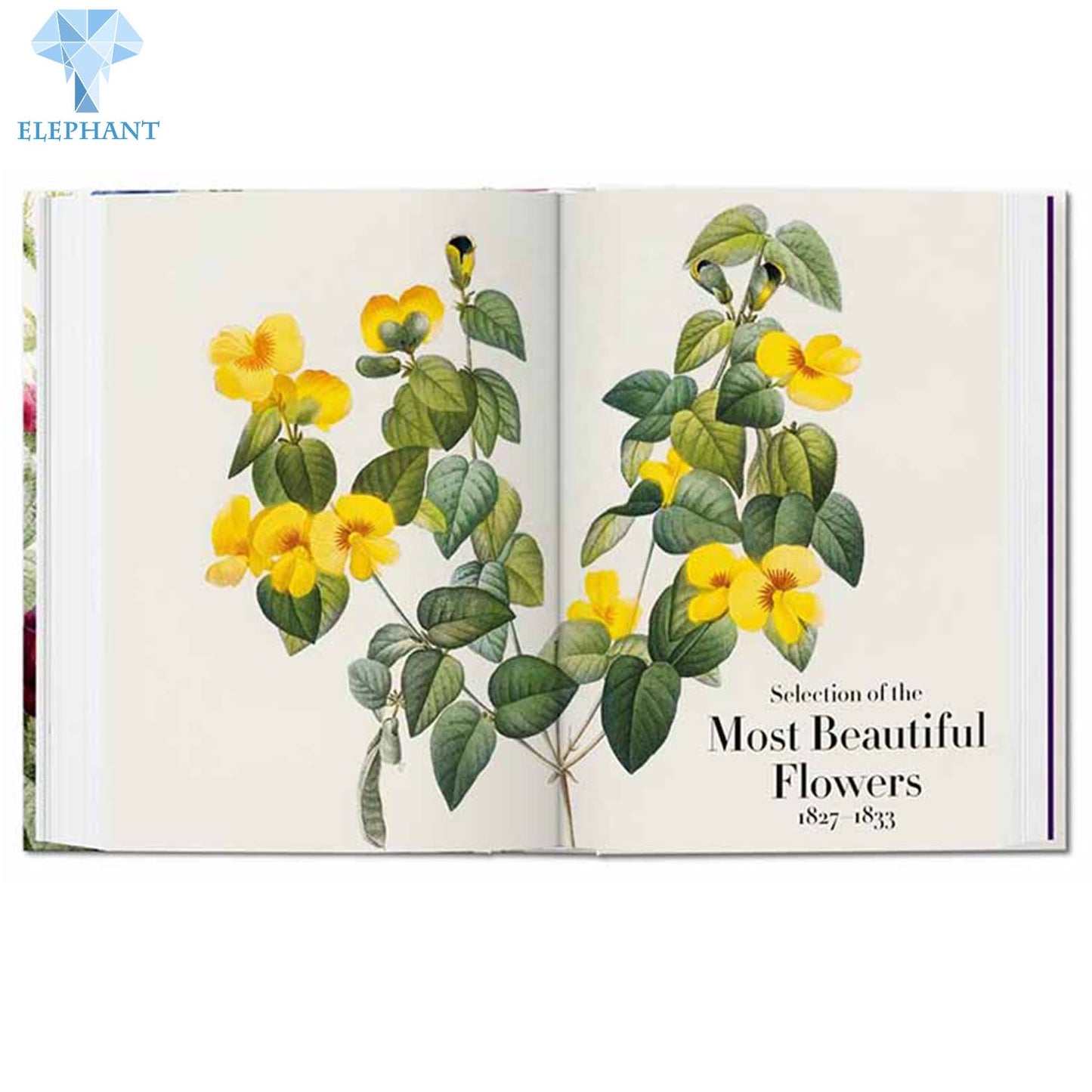 Cheap Printing Services Book Production Clear Plants Biology Perfect Bound Hardcover Book Printing