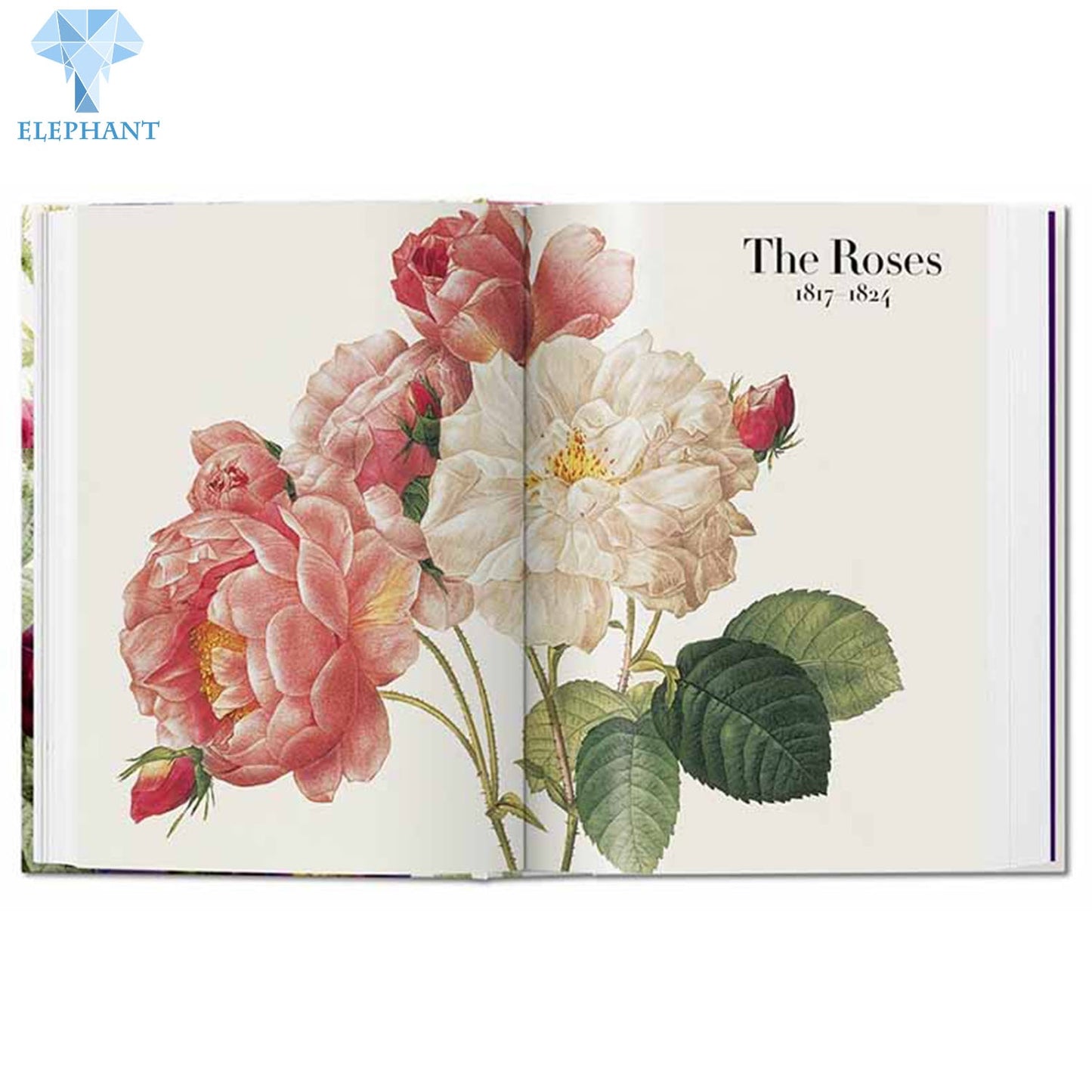 Cheap Printing Services Book Production Clear Plants Biology Perfect Bound Hardcover Book Printing